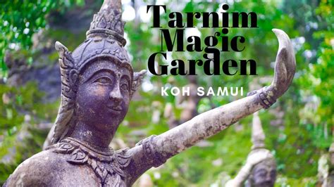 A Glimpse into the Fantasy World of Tarnim Magic Garden